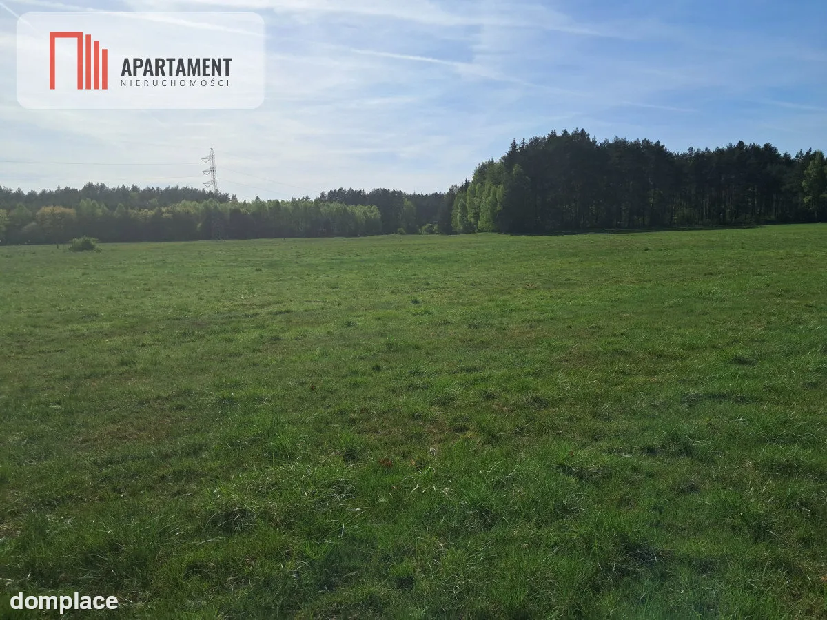 Działki rolne 2,06 ha – Górzna k. Złotowa — zdjęcie 9