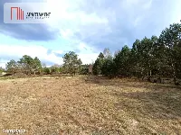 Tylko u nas! Działka-cisza, natura i potencjał! — zdjęcie 3