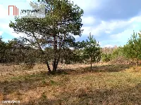Tylko u nas! Działka-cisza, natura i potencjał! — zdjęcie 1