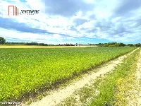 Nekla pod usługi, przemysł, magazyn — zdjęcie 4