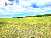 Nekla pod usługi, przemysł, magazyn — zdjęcie 5