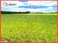Nekla pod usługi, przemysł, magazyn — zdjęcie 2