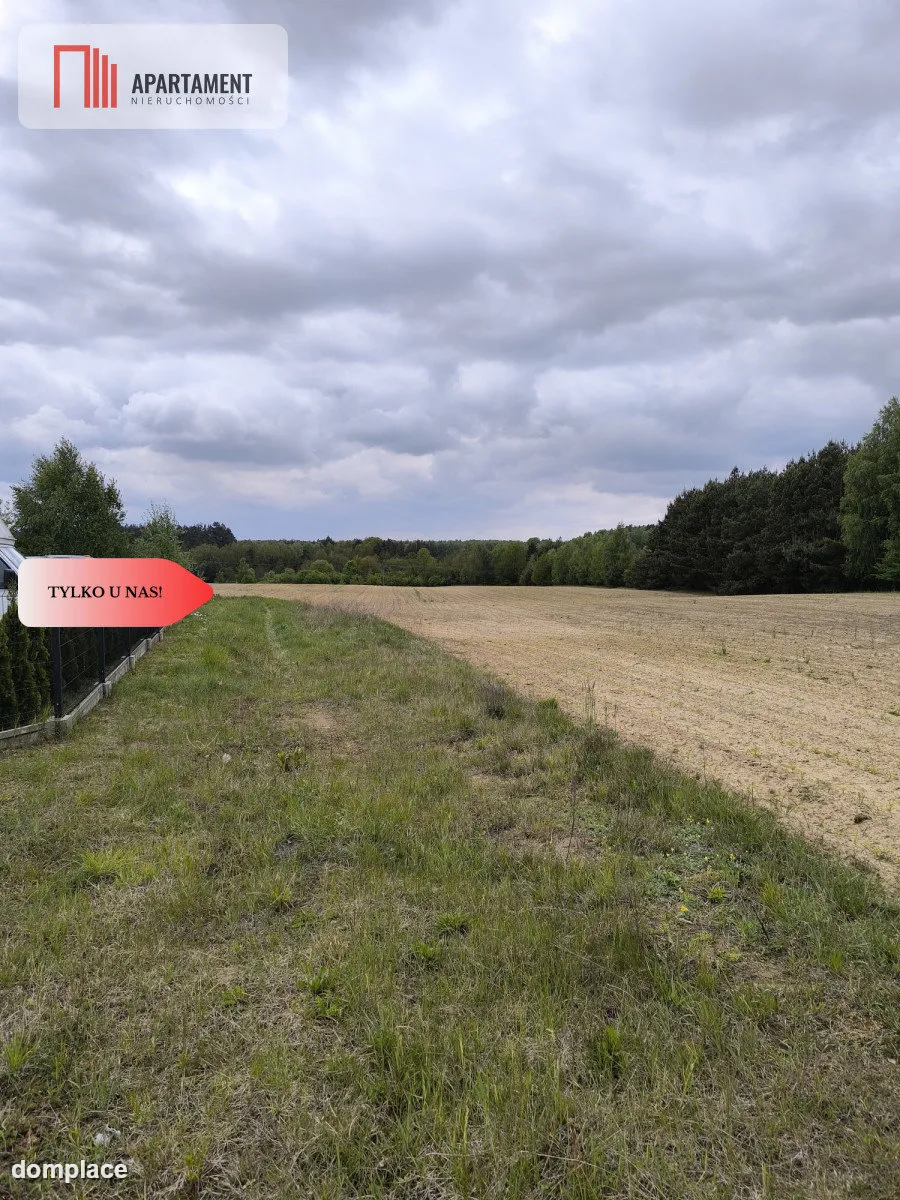 Tylko u nas - działka na sprzedaż w Dylewie — zdjęcie 5
