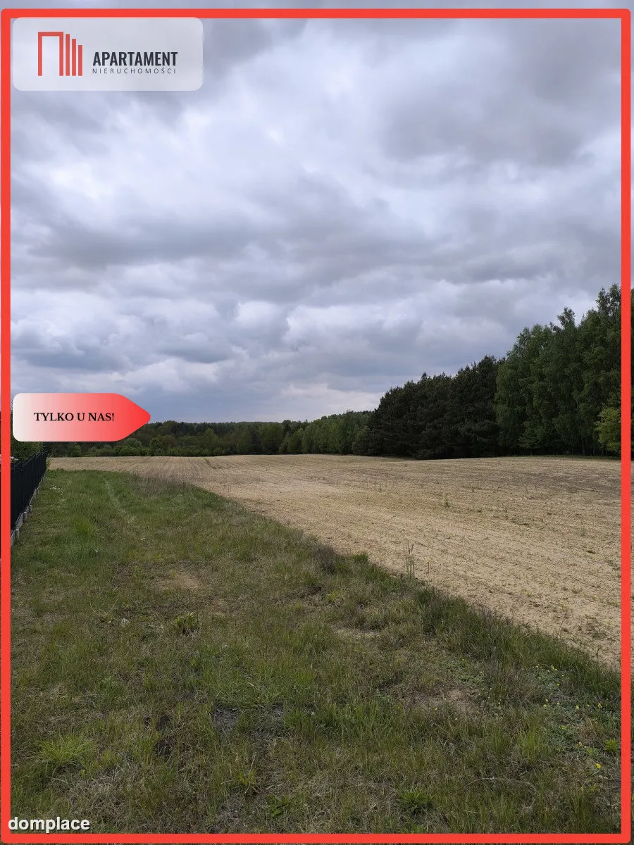 Tylko u nas - działka na sprzedaż w Dylewie — zdjęcie 2