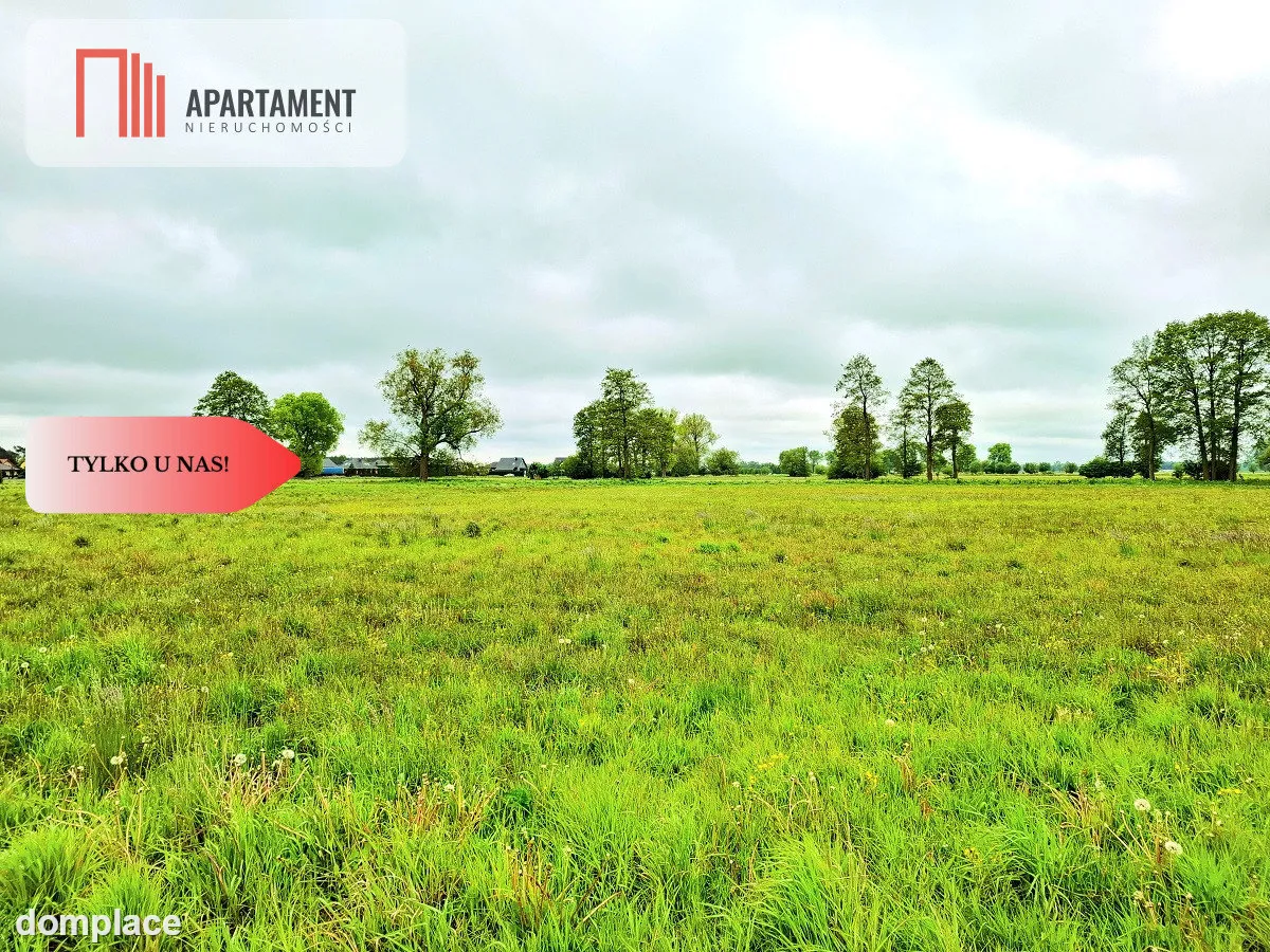Dziemionna 730 m2 z warunkami zabudowy — zdjęcie 4