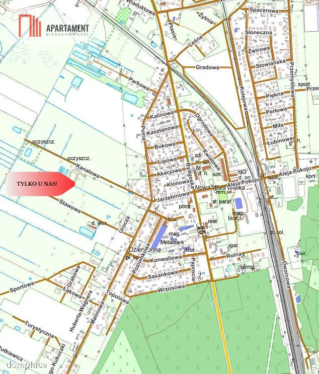 Dziemionna 730 m2 z warunkami zabudowy — zdjęcie 6
