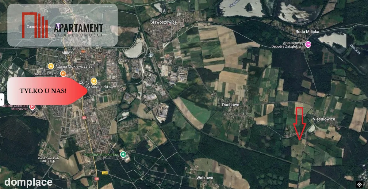 Malownicze działki wśród natury w Niesułowicach — zdjęcie 12