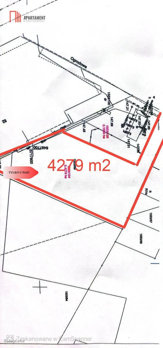 Atrakcyjna działka Przygodzice — zdjęcie 3