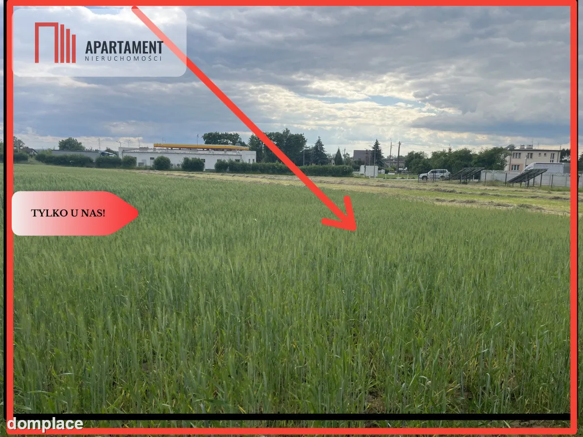 Atrakcyjna działka Przygodzice — zdjęcie 10
