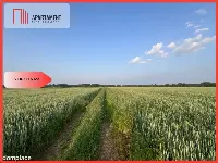 PIĘKNE Działki Budowlane pod Bolesławcem! Kruszyn — zdjęcie 1