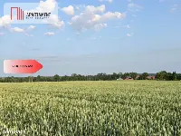 PIĘKNE Działki Budowlane pod Bolesławcem! Kruszyn — zdjęcie 4