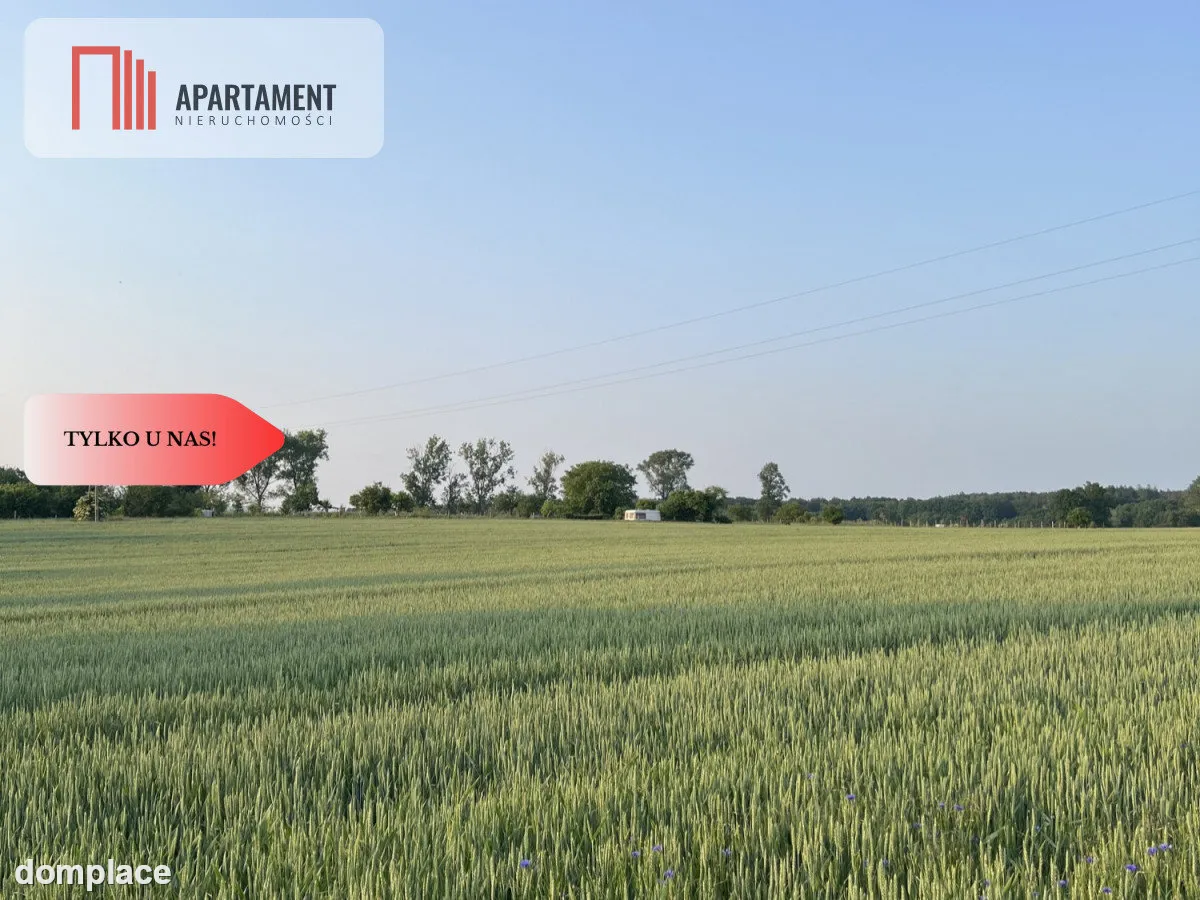 PIĘKNE Działki Budowlane pod Bolesławcem! Kruszyn — zdjęcie 5