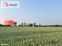 PIĘKNE Działki Budowlane pod Bolesławcem! Kruszyn — zdjęcie 5