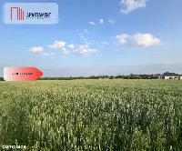 PIĘKNE Działki Budowlane pod Bolesławcem! Kruszyn — zdjęcie 2