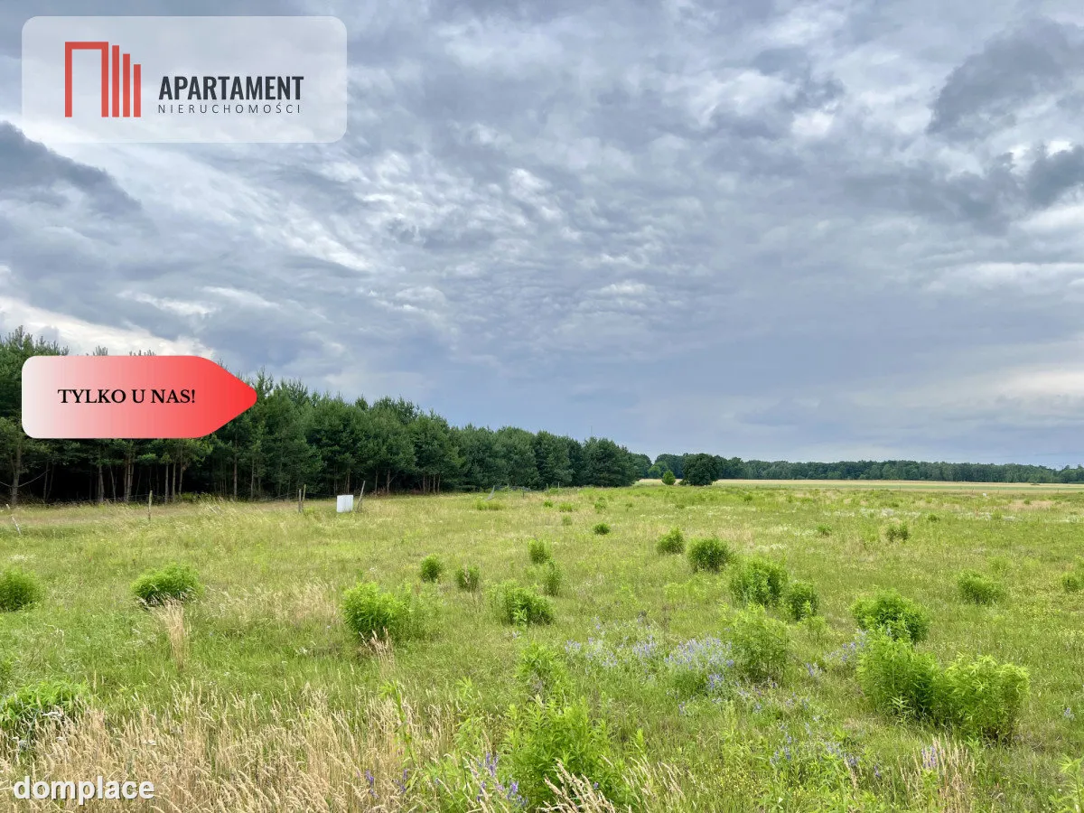 Szlakiem Napoleona! Działki Budowlane Brunów!MEDIA — zdjęcie 4