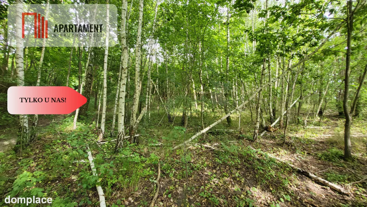 2118mkw z WZ - Wyrzysk Skarbowy — zdjęcie 2