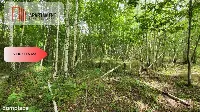 2118mkw z WZ - Wyrzysk Skarbowy — zdjęcie 2