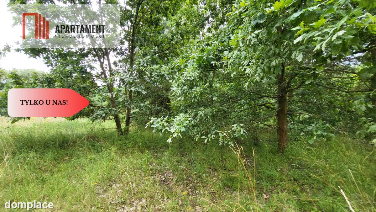 2118mkw z WZ - Wyrzysk Skarbowy — zdjęcie 3