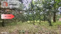 2118mkw z WZ - Wyrzysk Skarbowy — zdjęcie 4