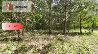 2118mkw z WZ - Wyrzysk Skarbowy — zdjęcie 1