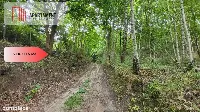2118mkw z WZ - Wyrzysk Skarbowy — zdjęcie 9
