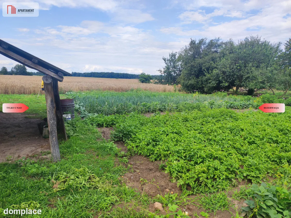 Działka rolna z dużą stodołą. — zdjęcie 4
