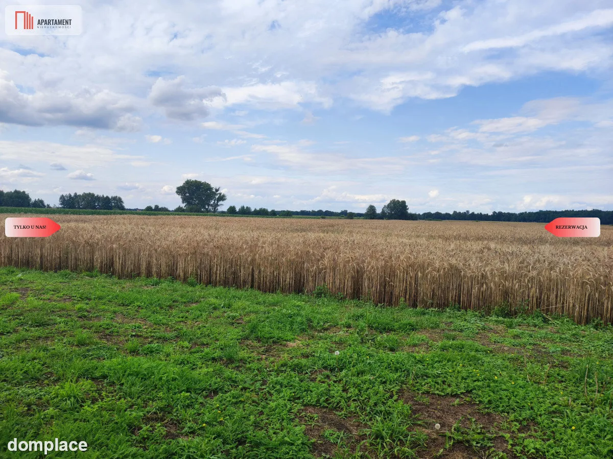 Działka rolna z dużą stodołą. — zdjęcie 6