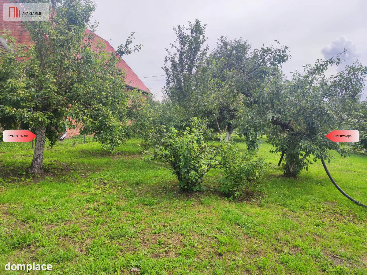 Działka rolna z dużą stodołą. — zdjęcie 3