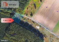 Cegielnik działka 1356m2 ze ścianą lasu — zdjęcie 2