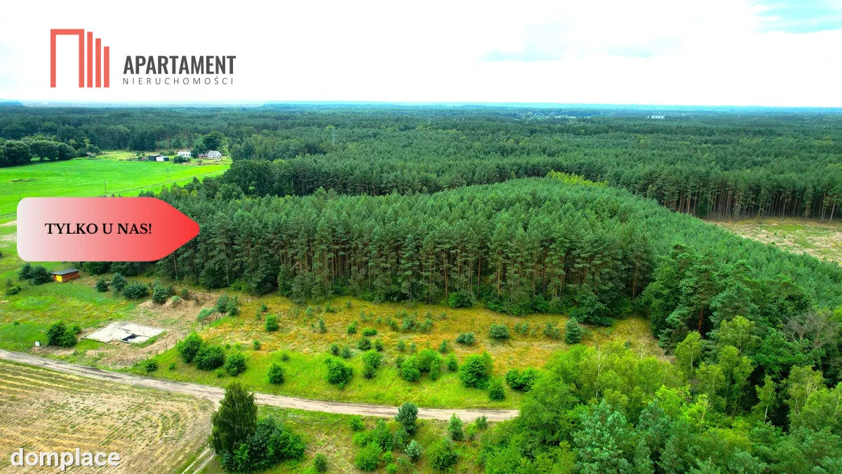 Cegielnik działka 1356m2 ze ścianą lasu — zdjęcie 6