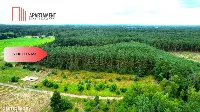Cegielnik działka 1356m2 ze ścianą lasu — zdjęcie 6