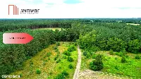 Cegielnik działka 1356m2 ze ścianą lasu — zdjęcie 7