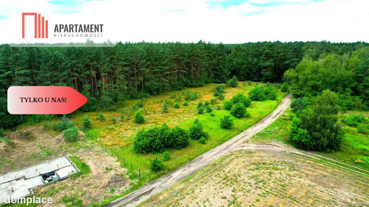 Cegielnik działka 1356m2 ze ścianą lasu — zdjęcie 8