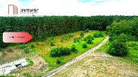 Cegielnik działka 1356m2 ze ścianą lasu — zdjęcie 8