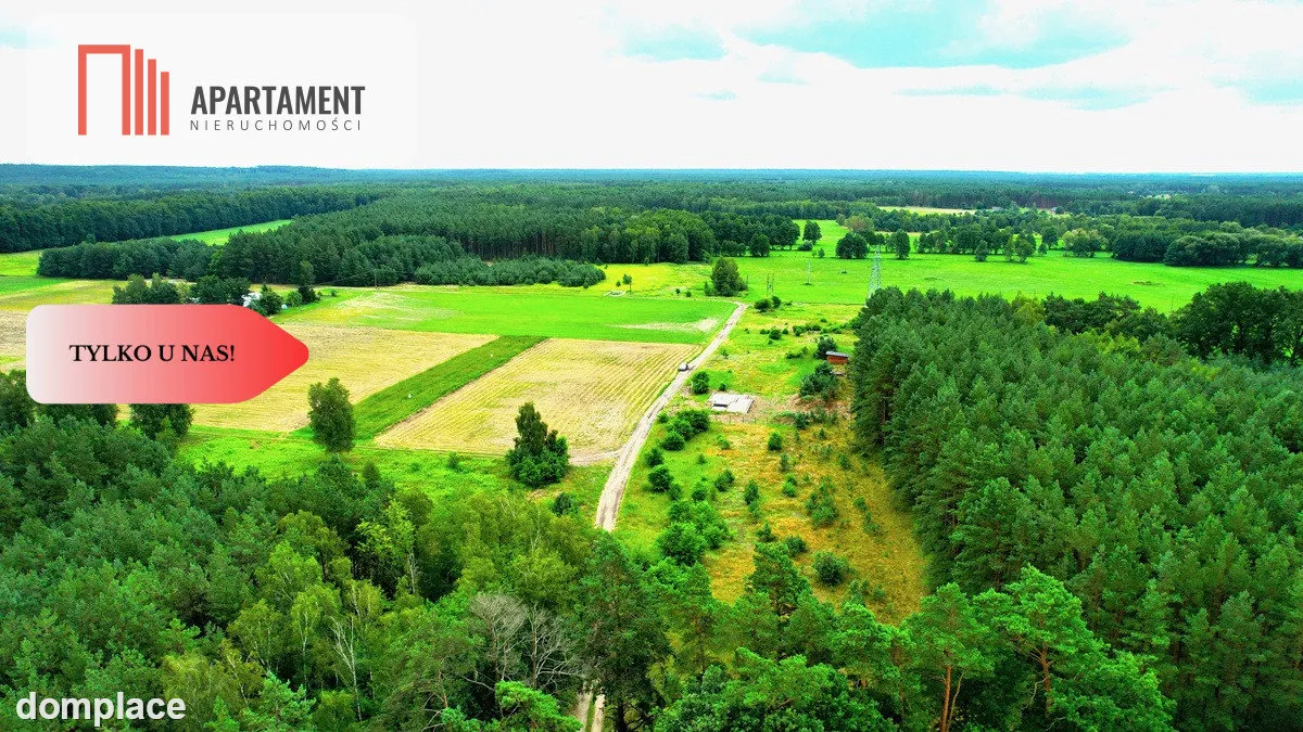 Cegielnik działka 1356m2 ze ścianą lasu — zdjęcie 9