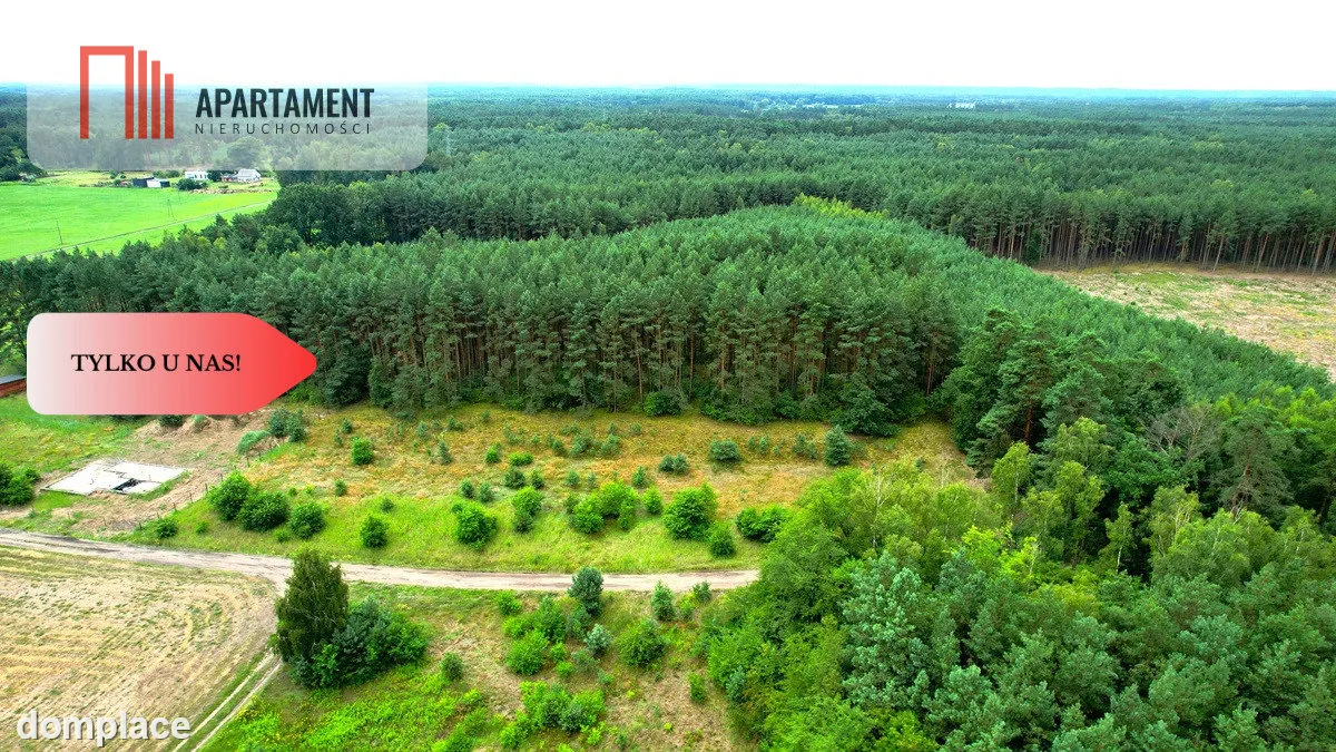 Cegielnik działka 1356m2 ze ścianą lasu — zdjęcie 10