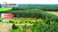 Cegielnik działka 1356m2 ze ścianą lasu — zdjęcie 10