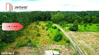 Cegielnik działka 1356m2 ze ścianą lasu — zdjęcie 11