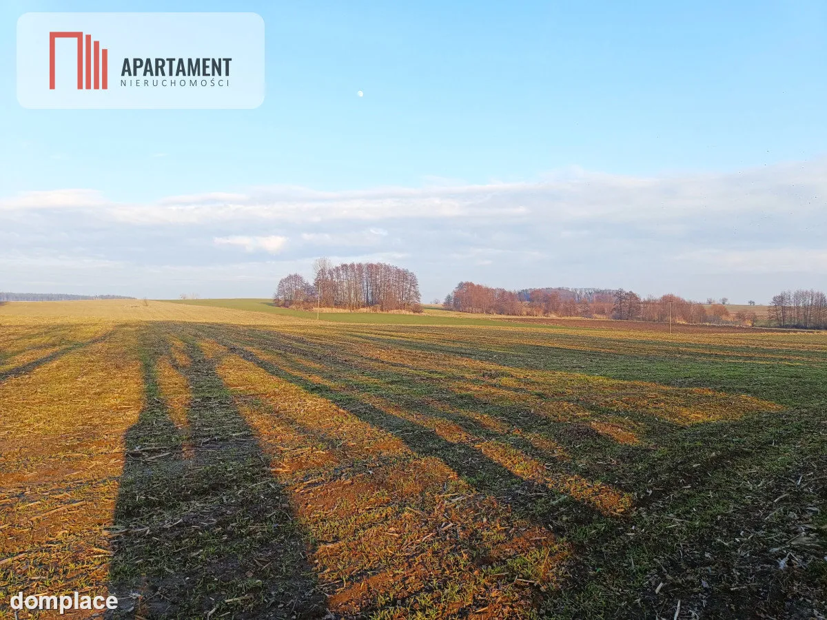 Duża działka budowlana na wsi. — zdjęcie 4