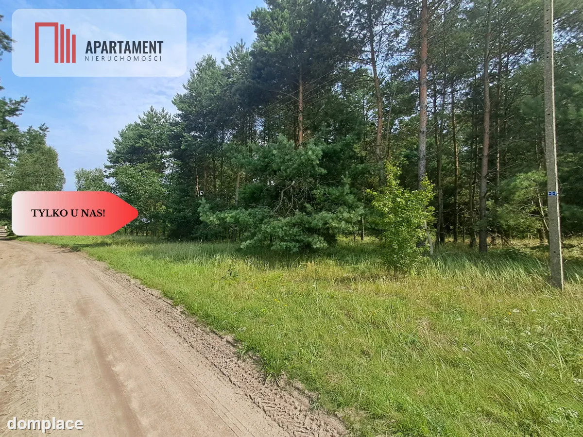 Działka z lasem — zdjęcie 7