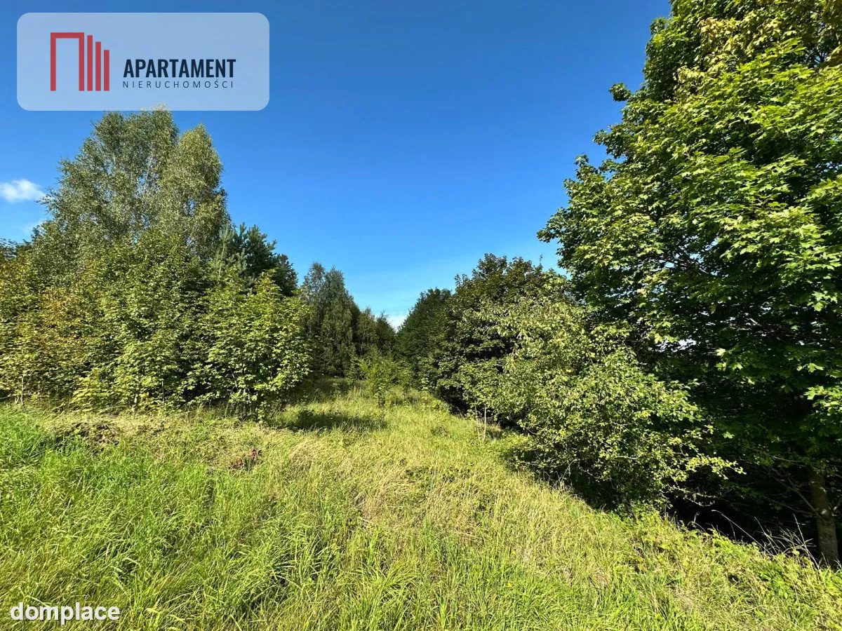 Unikalna działka 3,76 ha z własnym jeziorem! — zdjęcie 10