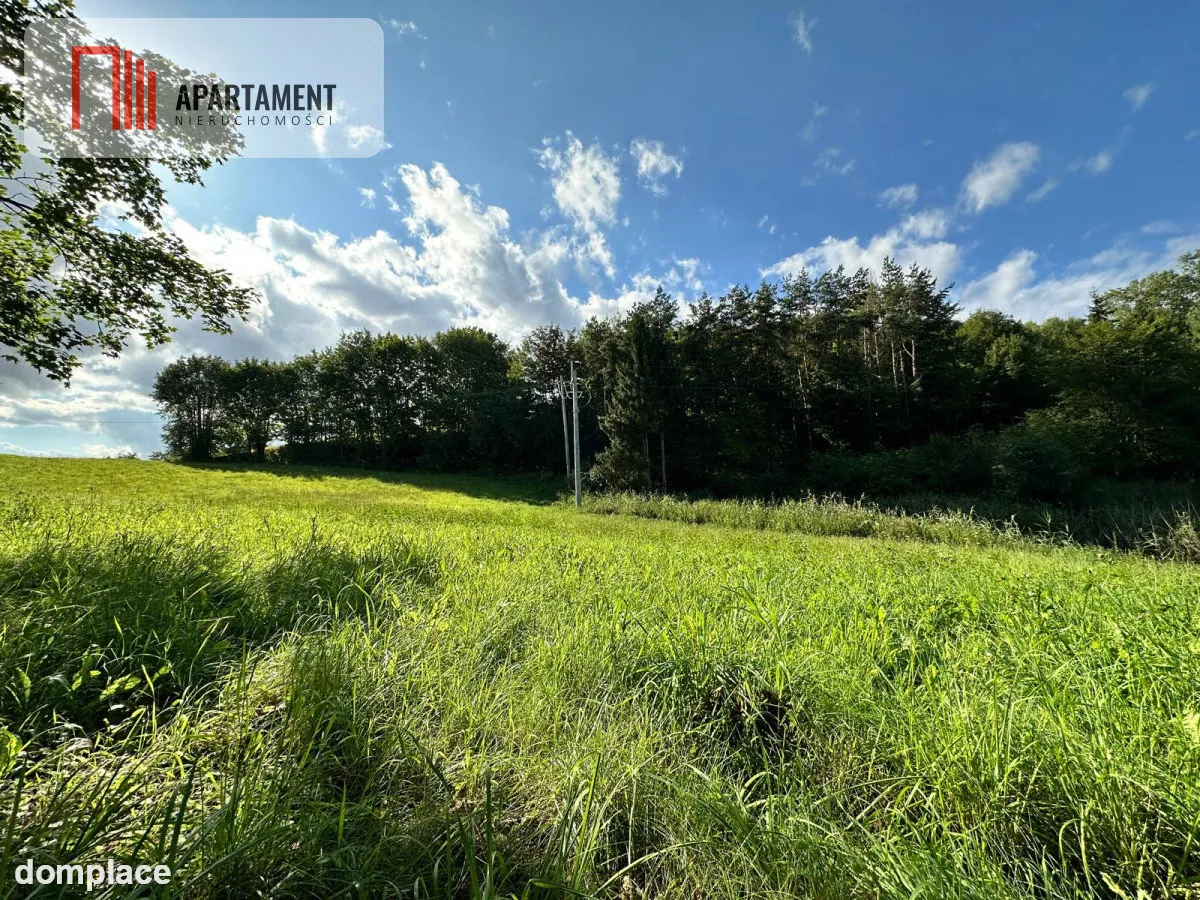 Unikalna działka 3,76 ha z własnym jeziorem! — zdjęcie 7