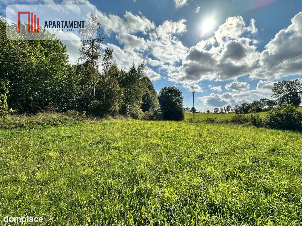 Unikalna działka 3,76 ha z własnym jeziorem! — zdjęcie 9