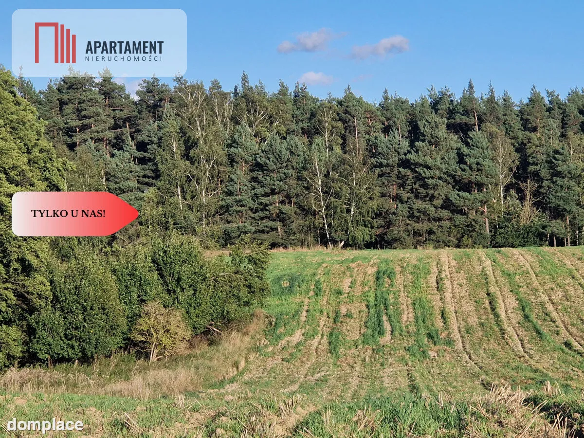 Działka z linią brzegową jeziora, wydane WZ — zdjęcie 5
