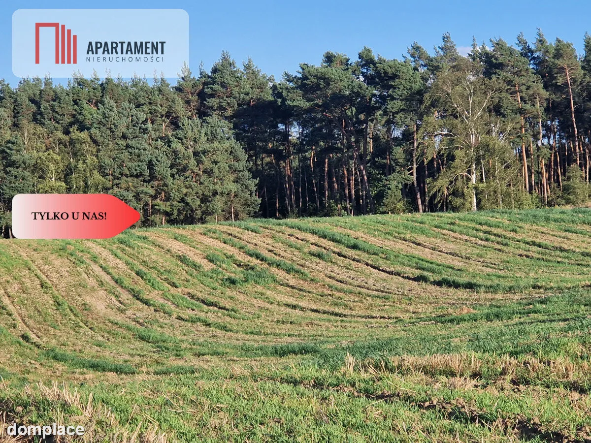 Działka z linią brzegową jeziora, wydane WZ — zdjęcie 3