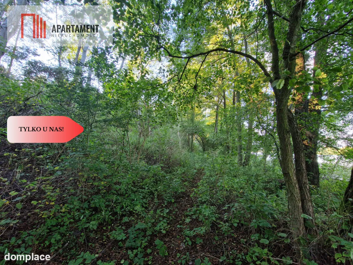 Działka z linią brzegową jeziora, wydane WZ — zdjęcie 7