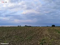 Działka 5000m2 -Borkowice-5 km od morza — zdjęcie 2