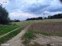 Działka 5000m2 -Borkowice-5 km od morza — zdjęcie 4