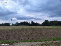 Działka 5000m2 -Borkowice-5 km od morza — zdjęcie 1