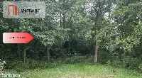 Działka blisko jeziora ,las, 3300m2 — zdjęcie 4